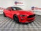 2019 Ford Mustang GT ***BLUE CERTIFIED***