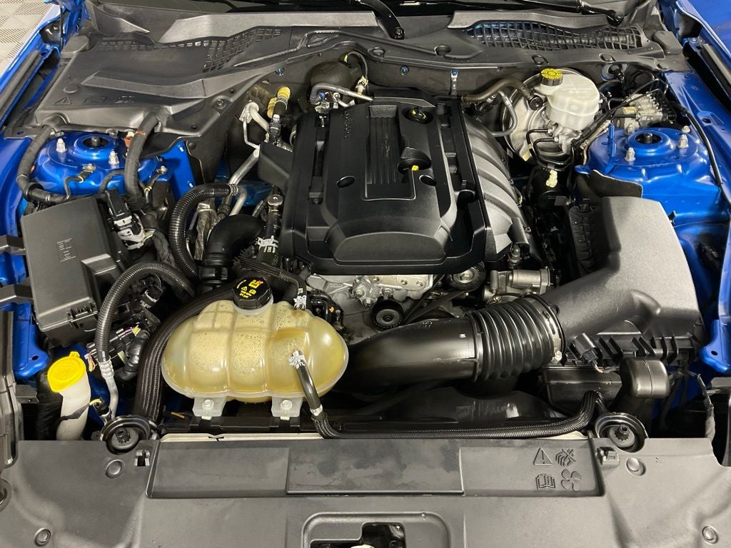 2019 Ford Mustang EcoBoost ***BLUE CERTIFIED***