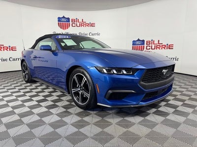 2024 Ford Mustang EcoBoost ***GOLD CERTIFIED***