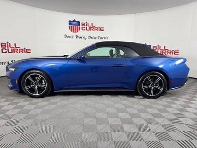 2024 Ford Mustang EcoBoost ***GOLD CERTIFIED***