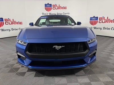2024 Ford Mustang EcoBoost ***GOLD CERTIFIED***