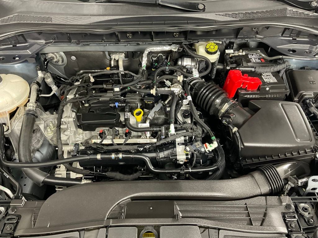 2022 Ford Escape SE ***GOLD CERTIFIED***