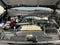 2025 Ford Expedition Max Active ***GOLD CERTIFIED***