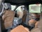 2027 Ford Expedition Max King Ranch