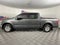 2019 Ford F-150 XLT ***BLUE CERTIFIED***