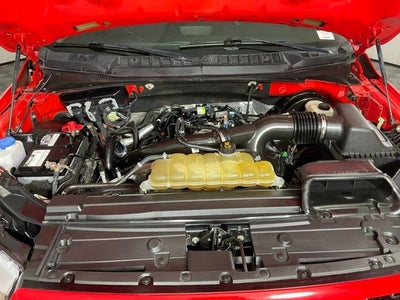 2019 Ford F-150 XL ***PRE AUCTION SALE***
