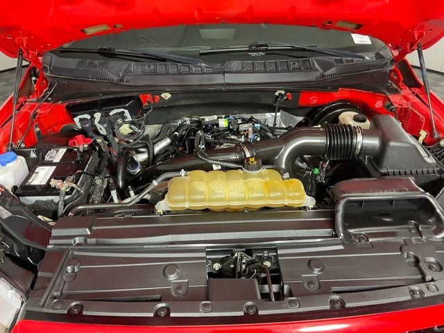 2019 Ford F-150 XL ***PRE AUCTION SALE***