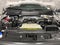 2025 Ford F-150 STX ***GOLD CERTIFIED***