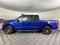 2026 Ford F-150 STX ***GOLD CERTIFIED***