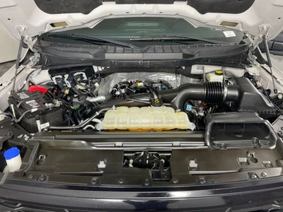 2024 Ford F-150 XLT ***GOLD CERTIFIED***