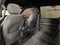 2021 Ford F-150 XLT ***BLUE CERTIFIED***
