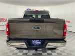 2023 Ford F-150 XLT ***GOLD CERTIFIED***