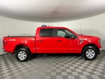2023 Ford F-150 XLT ***GOLD CERTIFIED***