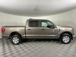 2023 Ford F-150 XLT ***GOLD CERTIFIED***