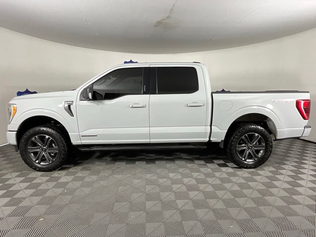 2023 Ford F-150 XLT ***GOLD CERTIFIED***