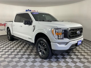 2023 Ford F-150 XLT ***GOLD CERTIFIED***