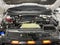 2024 Ford F-150 Raptor ***GOLD CERTIFIED***