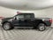 2024 Ford F-150 XLT ***GOLD CERTIFIED***