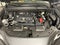 2025 Lexus NX 250 Premium ***BLUE CERTIFIED***